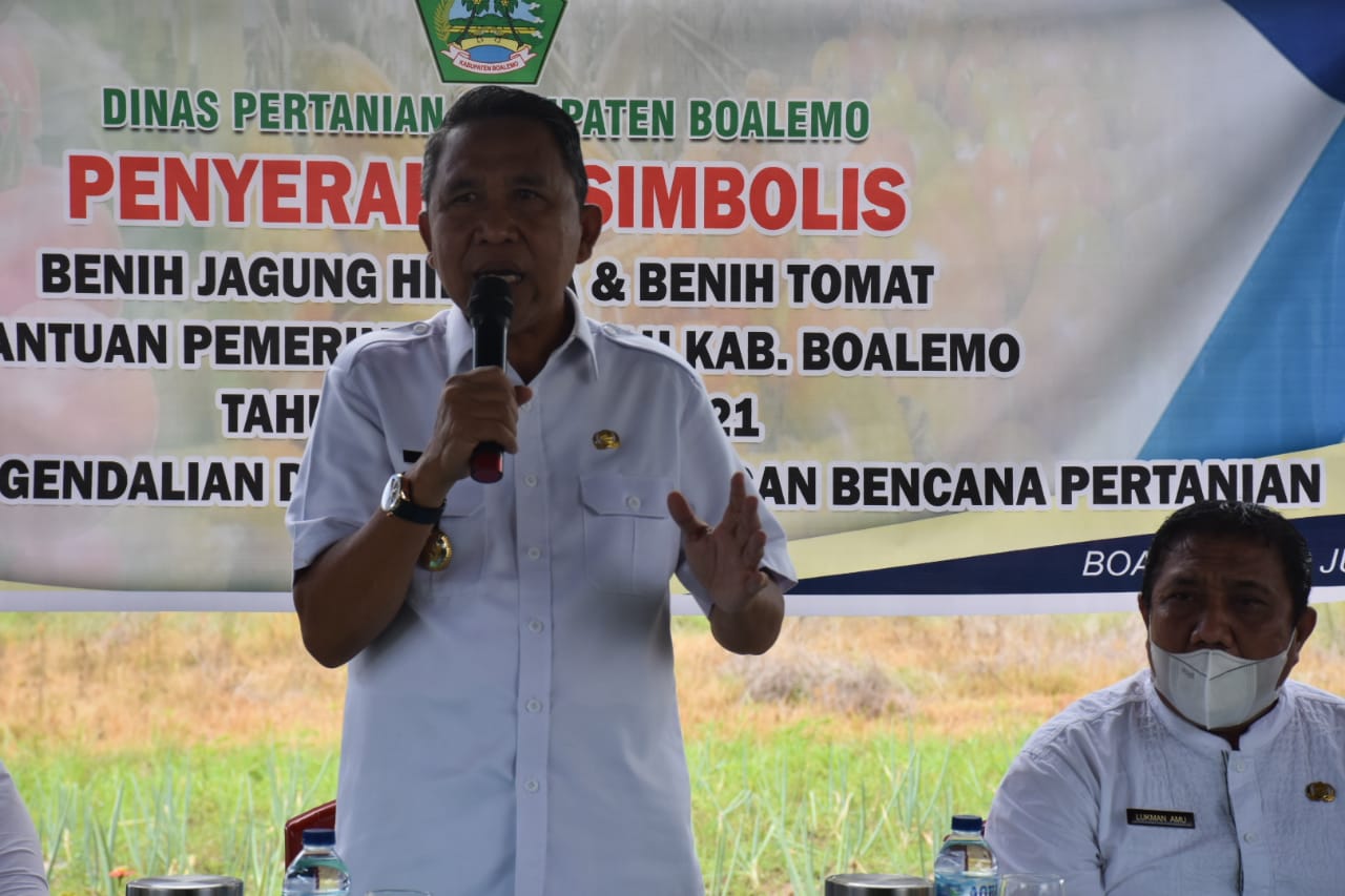 Pemda Boalemo Salurkan Bantuan Benih Jagung dan Tomat bagi Petani.