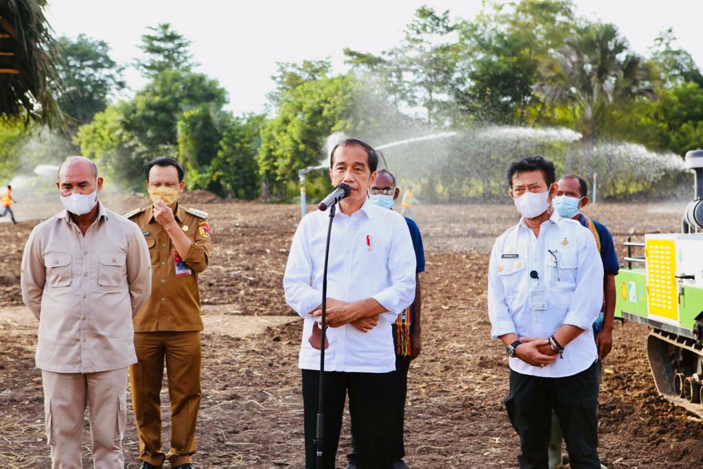 Presiden Jokowi Meninjau Food Estate dan Tanam Jagung R7 bersama para Petani