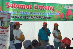 Jagung R7 dalam Gelar Inovasi dan Teknologi Pertanian Kabupaten Kediri 2022