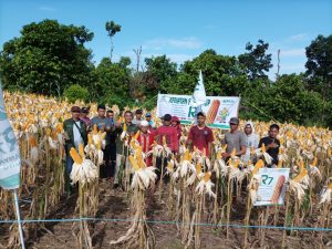 Kegiatan R7 Field Trip Makassar 2022