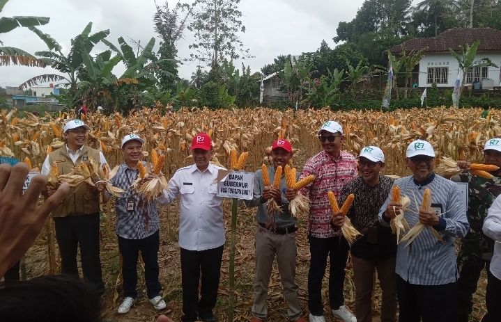 Gandeng Bank NTB Syariah, PT Restu Agropro Jayamas Gelar Pekan Panen Raya di Desa Kopang