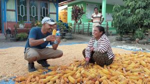 Senyum Petani di Food Estate Belu