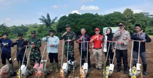 Gerakan tanam jagung Hibrida Raja R7 bersama Kodim 0601 dan Dinas Pertanian Pandeglang