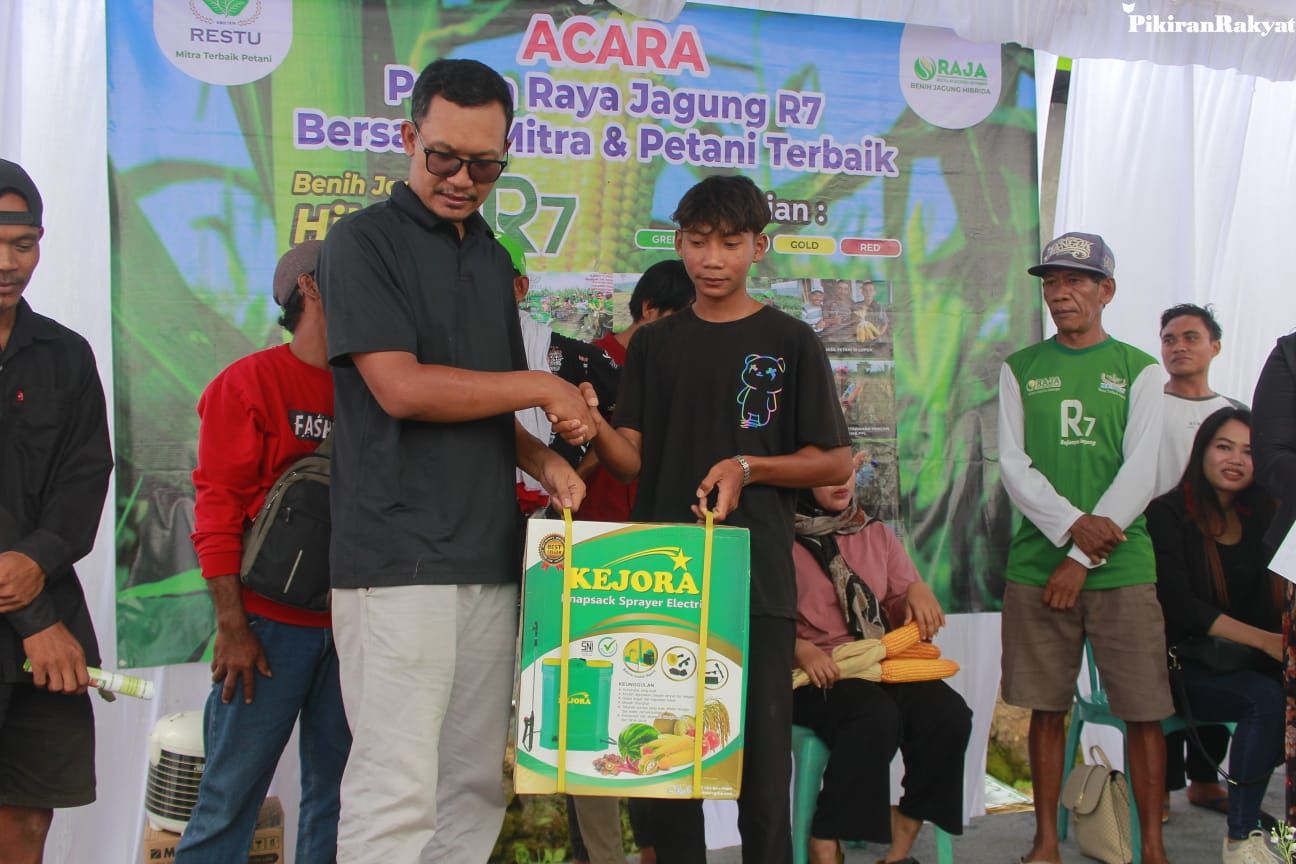 Panen Raya Jagung Hibrida: Petani Desa Ekas Buana Mengaku Puas