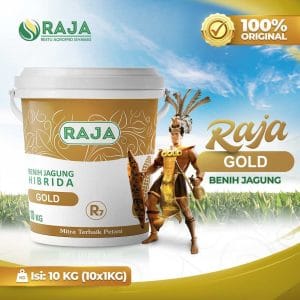 Benih Jagung RAJA R7 Gold - 10kg Kemasan Pail/Ember