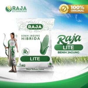 Benih Jagung Hibrida Raja R7 Lite - 1kg
