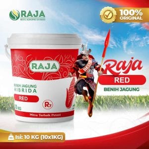 Benih Jagung RAJA R7 Red - 10kg Kemasan Pail/Ember