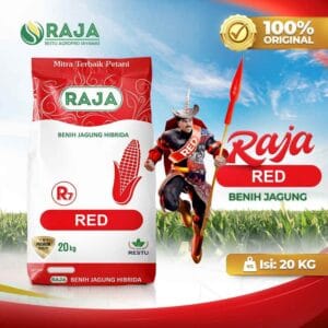 Benih Jagung Hibrida RAJA R7 Red - 20kg Sack