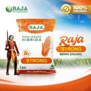 Benih Jagung Hibrida Raja R7 Strong - 1kg