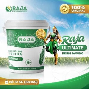 Benih Jagung RAJA R7 Ultimate - 10kg Kemasan Pail/Ember