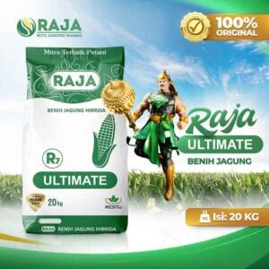 Benih Jagung RAJA R7 Ultimate - 20kg Kemasan Sack