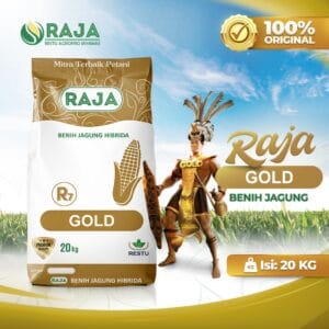Benih Jagung Hibrida RAJA R7 Gold - 20kg Sack