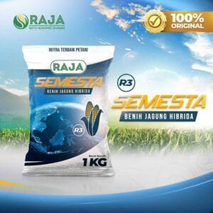 Benih Jagung Hibrida RAJA R3 Semesta - 1kg