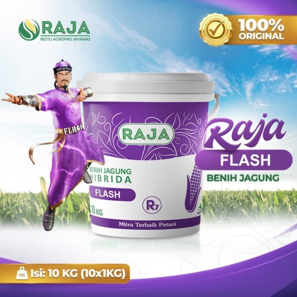 Benih Jagung RAJA R7 Flash - 10kg Kemasan Pail/Ember