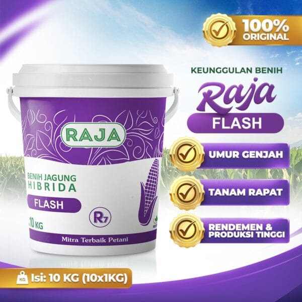 Benih Jagung RAJA R7 Flash - 10kg Kemasan Pail/Ember - Gambar 2