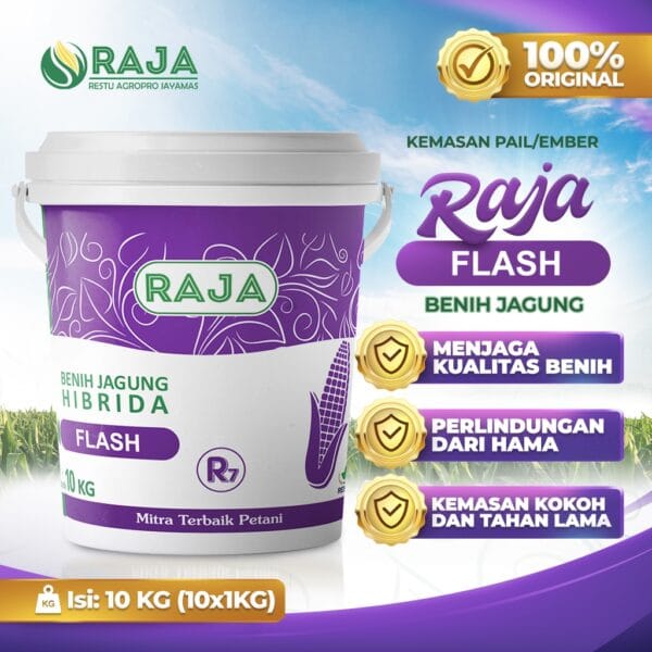 Benih Jagung RAJA R7 Flash - 10kg Kemasan Pail/Ember - Gambar 3