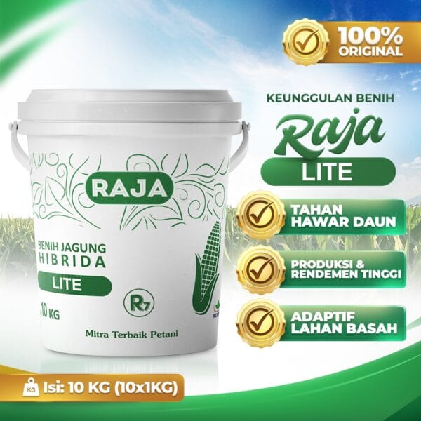 Benih Jagung Raja R7 Lite - 10kg Kemasan Pail/Ember - Gambar 2
