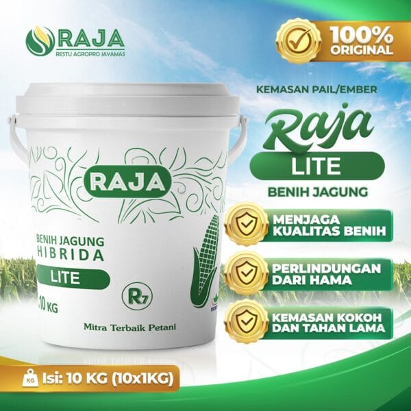 Benih Jagung Raja R7 Lite - 10kg Kemasan Pail/Ember - Gambar 3