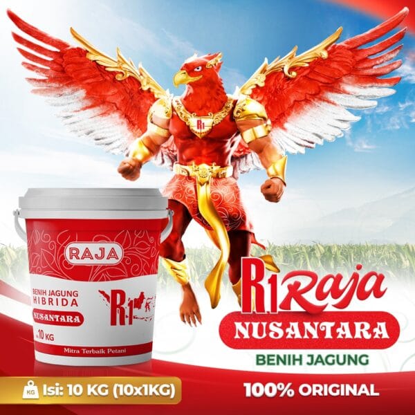 Benih Jagung Raja R1 Nusantara - 10kg Kemasan Pail/Ember