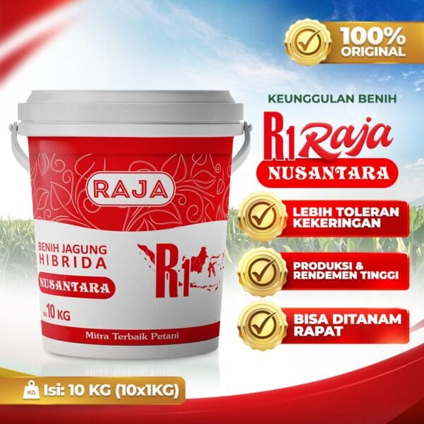 Benih Jagung Raja R1 Nusantara - 10kg Kemasan Pail/Ember - Gambar 2