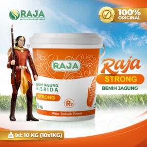 Benih Jagung Raja R7 Strong - 10kg Kemasan Pail/Ember