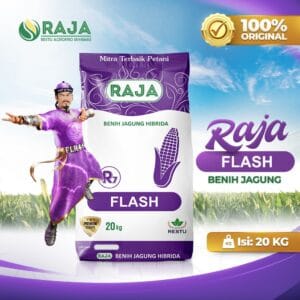 Benih Jagung Hibrida RAJA R7 Flash - 20kg Sack