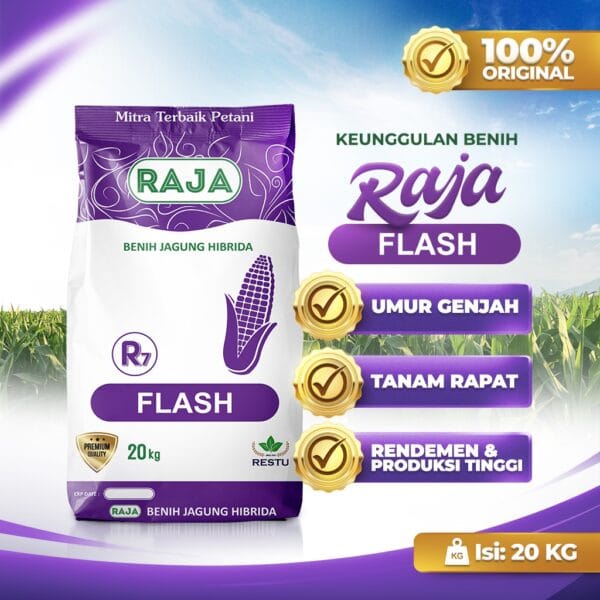 Benih Jagung Hibrida RAJA R7 Flash - 20kg Sack - Gambar 2