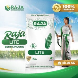 Benih Jagung Hibrida RAJA R7 Lite - 20kg Sack