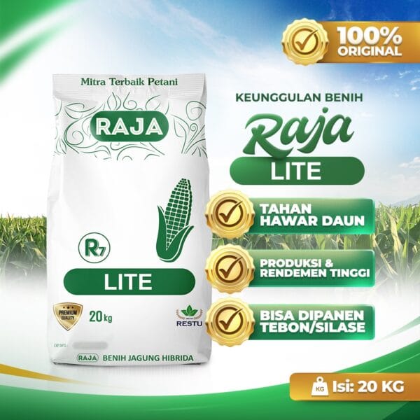 Benih Jagung Hibrida RAJA R7 Lite - 20kg Sack - Gambar 2
