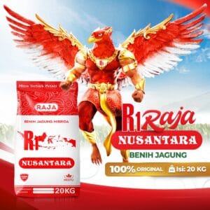 Benih Jagung Hibrida RAJA R1 Nusantara - 20kg Sack