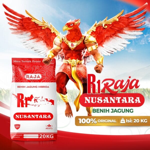 Benih Jagung Hibrida RAJA R1 Nusantara - 20kg Sack