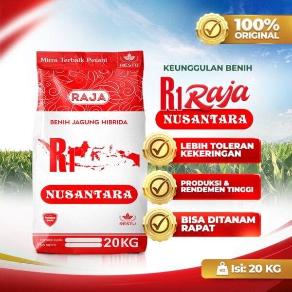 Benih Jagung Hibrida RAJA R1 Nusantara - 20kg Sack - Gambar 2