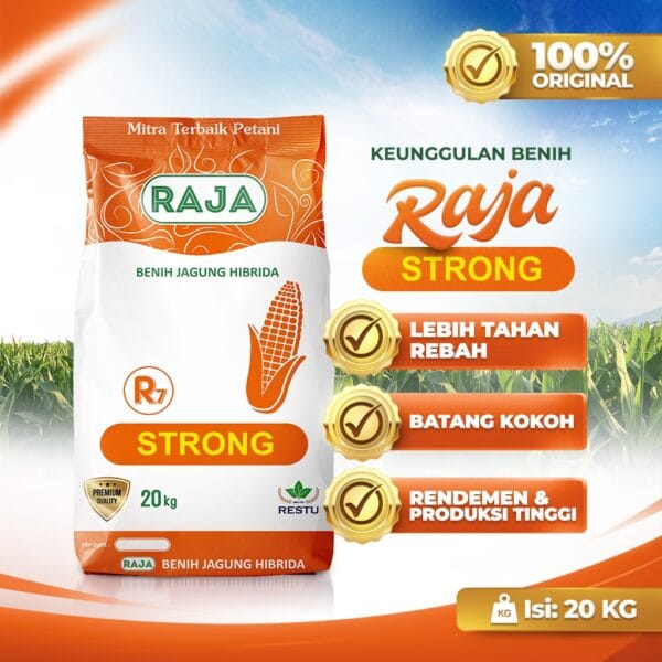 Benih Jagung Hibrida RAJA R7 Strong - 20kg Sack - Gambar 2